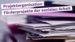 Projektorganisation